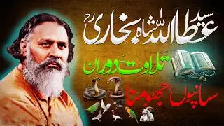 Snakes Hypnotized by Quran | Miracle During Shah Bukhari's Recitation  شاہ بخاری کی تلاوت