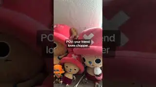 POV: your friend loves chopper