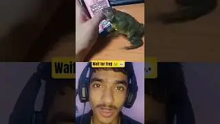 Moment before cooked 💀 #frog #effect #trolllife #trollface #funny #comedy #viralvideo #ytshorts
