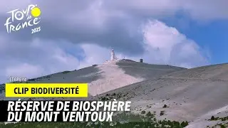 R&eacute;serve de biosph&egrave;re du Mont Ventoux - Tour de France 2025