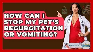 How Can I Stop My Pet's Regurgitation Or Vomiting? - Ask A Pet Vet