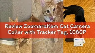 Review ZoomaraKam Cat Camera Collar with Tracker Tag, 1080P HD Video Recording, XS-Size Pet POV Cam