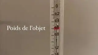 Influence de la nature du liquide sur la pouss&eacute;e d&rsquo;Archim&egrave;de