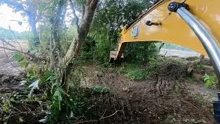 Cat 323 GC Excavation Begins Clearing the Edge of the Forest.