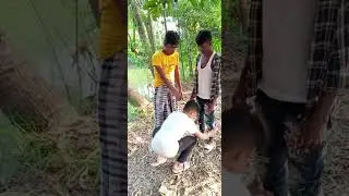 funny video comide video tik tik boy arman