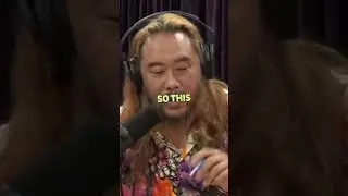 David Choe Lost in a Jungle Looking for a Dinosaur and Saved by Pygmy