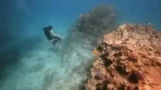 Adaptive Scuba Diving - Lab 5 Disability Ethnography and Design