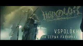 Vspolokh 