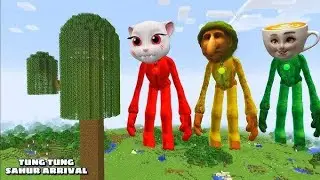 I found Scariest catnap in Minecraft 😱 | Horror Minecraft 