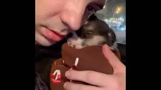 Забрал  малютку к себе домой, буду искать ей маму и папу. Девочка очень плачет без материнского..