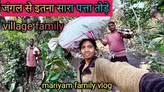 पाहड़ से ईतना सारा पता तोड़कर लाए || village family || #mariyamfamilyvlog 