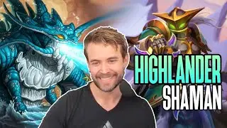 (Hearthstone) Dragon Quest Shaman VS Dragon Hunter & Spell Druid