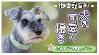 【写真教室】初心者向け！はじめてでもペットを可愛く撮るための簡単ワンポイント【北総花の丘公園】