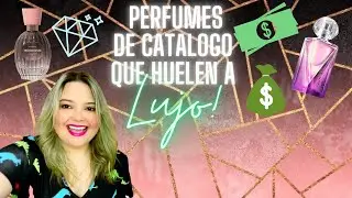 Perfumes de catálogo que huelen a caro! A lujo! 🤩🤩