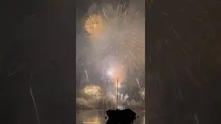 Zurich New Year 2026 Fireworks Awesome Final! 💥 🤯 🎇 Switzerland 🇨🇭