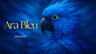 DRAKEN - Ara Bleu [ Visualizer ]