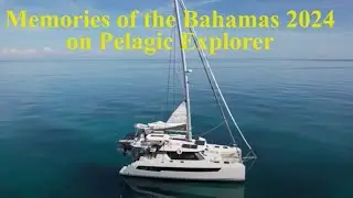 Bahamas 2024 Memories on the Pelagic Explorer with Steve Campana