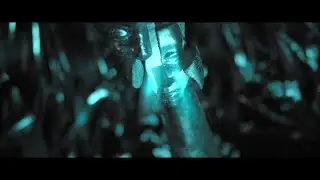 FAHR - Shellshock (OFFICIAL MUSIC VIDEO)