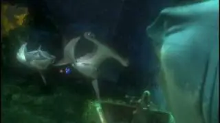 Finding Nemo - Bruce