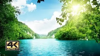 Surrounded by Radiance 4K UHD, Music to Relax and Lay Back