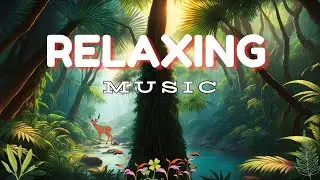 Relaxing Tranquil Jungle Symphony Music 53 |  A Relaxing Escape with Nature's Serenade
