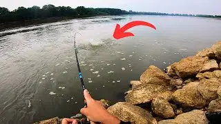 Summer Fishing on Italy's Po River with an Unwanted Ending