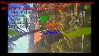 Help! XJB 145 Stuck in tallest tree in the Park - Chatsworth, CA