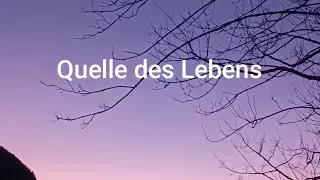 Quelle des Lebens