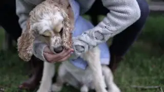 ELASTOFIT promo - Go Fresh Pet&reg;