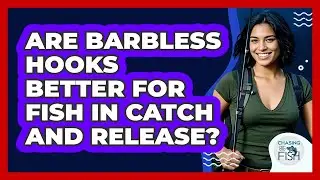 Are Barbless Hooks Better For Fish In Catch And Release? - Chasing Big Fish