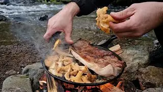 8 Popular Wild Mushrooms- Forage and Feast