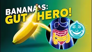 Bananas: The Ultimate Superfood for a Healthy Gut