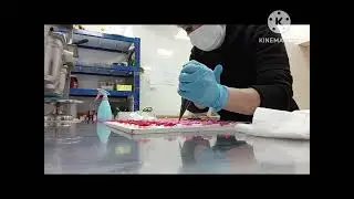 # New Decoration Cup Cakes hello Kitty Design