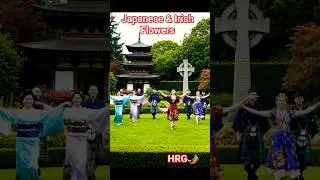 Japanese and Irish flowers #dance #culturalheritage #history #folkdance #love #folkmusic