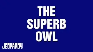 The Superb Owl | Category | JEOPARDY!