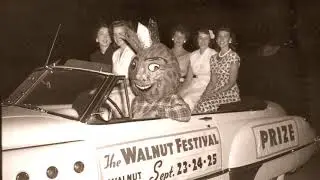 The Walnut Festival Association