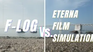 Flog vs ETERNA Which should you use?!