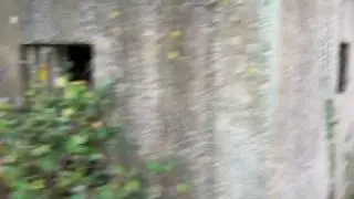 Pillbox vid 12 Type 24 thin walled near Highstead Kent