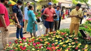 This Sunday Galiff street plant market visit,in all outdoor plant price kolkatar talahat market 2025