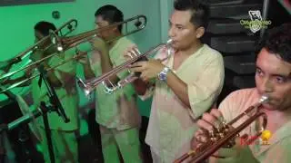 Que Voy Hacer Sin Ti - Orq. La Exclusiva - Choza Náutica