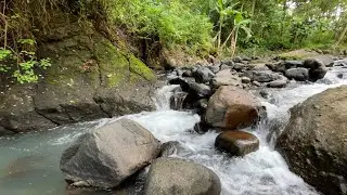 Nature River Sounds for Fast Sleeping 🌙 Anxiety Relief & Relaxing Ambience 😌