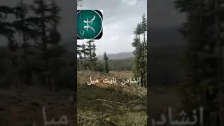 مولاي حماد فى قصيدة شعرية رائعه وجميله  ليت الزمان عاد بنا إلى الوراء لنرى أياما جميلة
