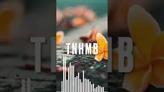 Forru-There&rsquo;s Nothing Holdin&rsquo; Me Back (Remix) @shawnmendes