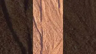 Wow, Island Sand Close-up #beachsand #sandy #shorts