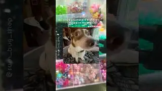 Custom Dog Bracelet 🐶 #story #cutedog #dog #customjewelry