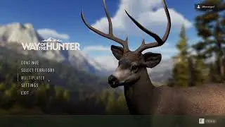 Multiplayer Issues & Settings Options