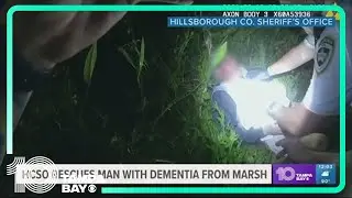 Elderly man rescued from marsh by Hillsborough County deputies