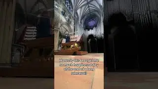 This is Nidaros Cathedral where we recorded Firedove! 2 DAYS TO GO!🕊️ #organ #organtok #pipeorgan