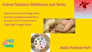 Animal Nutrition Definitions and Terms
