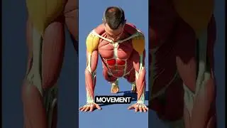 👉 This Is What 50 Push-Ups a Day Really Do to Your Body (Shocking Results)#shorts #viral #health